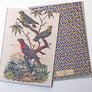 PATCH NYC Parakeets Notecard Set