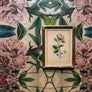 Peony Wallpaper (special order)