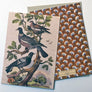 PATCH NYC Pigeons Notecard Set