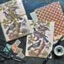 PATCH NYC Pigeons Notecard Set