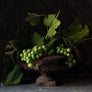 John Ross Still Life with Grapes Art Print