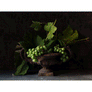 John Ross Still Life with Grapes Art Print