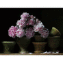John Ross Still Life with Peonies in Clay Pots Art Print