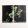 The World of PATCH NYC Volume 01: Debut