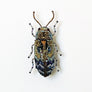 Beaded Deco Beetle Embroidered Pin by Trovelore