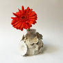 Melissa Mytty: One of a Kind Floral Vase (126-1)