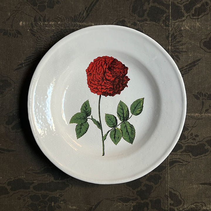 Astier de Villatte x John Derian Red Rose Soup Plate