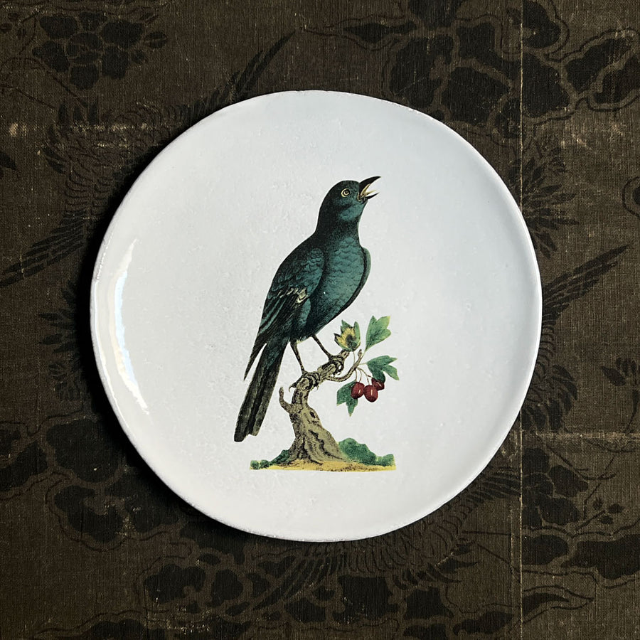 Astier de Villatte x John Derian Blue Sparrow Plate