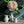 Astier de Villatte Boule Pitcher
