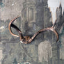 Vintage Antlers (set of 2)