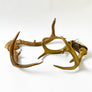 Vintage Antlers (set of 2)