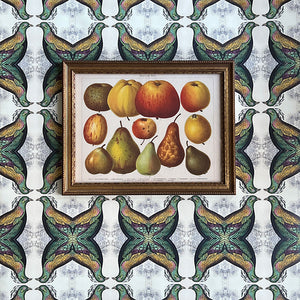 Birnen und Apfel (pears & apples) Original German Lithograph in Vintage Frame