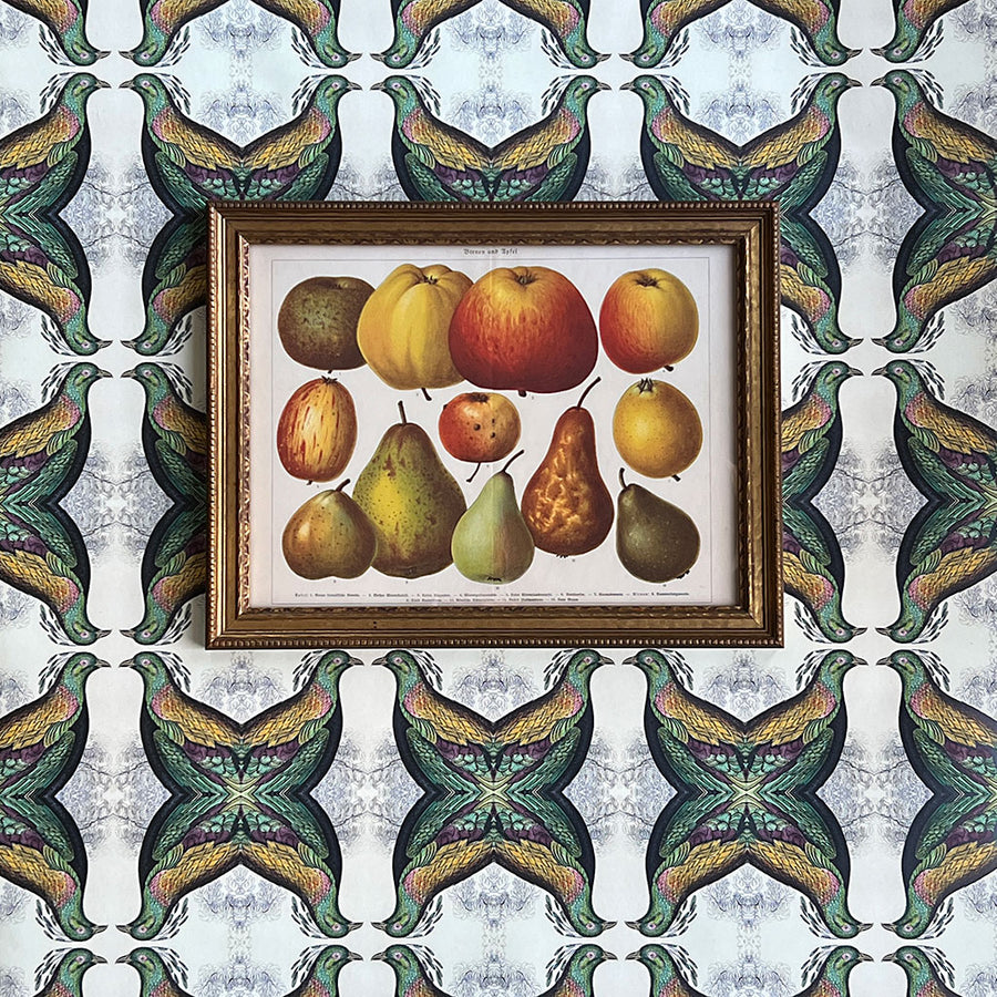 Birnen und Apfel (pears & apples) Original German Lithograph in Vintage Frame