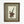 Stapelia Moschata (starfish flower) - Original Hand-Colored Copperplate Engraving in Vintage Frame