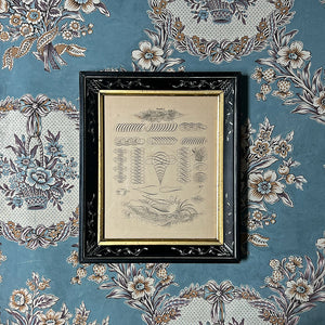 Exercises for Flourishing Original Vintage Lithograph in Victorian Frame