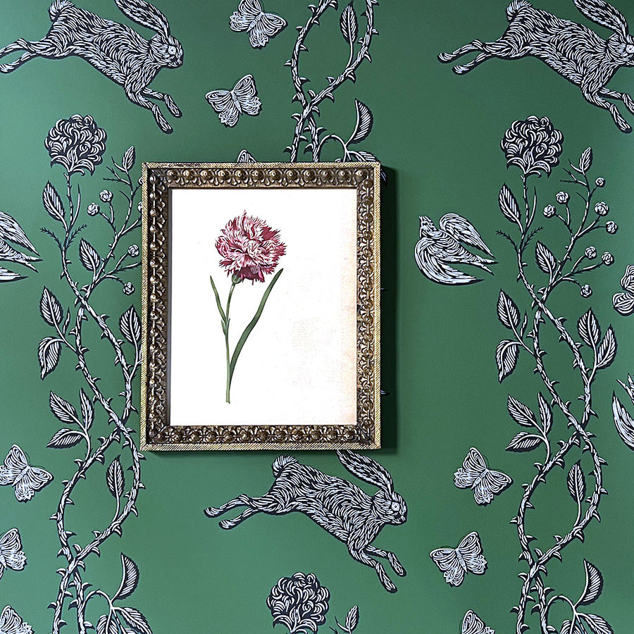 Dianthus Carnation Bloom & Stem Original Vintage Lithograph in Victorian Wood Frame