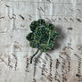 Beaded Lucky Clover Embroidered Pin by Trovelore