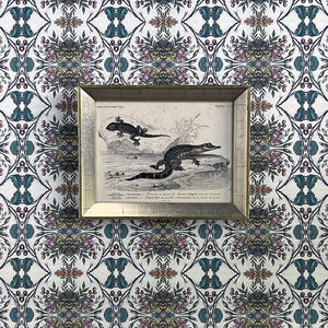 Crocodile & Gecko - Original Hand-Colored Engraving in Vintage Frame