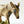 Vintage Chalkware Droopy Donkey Figurine