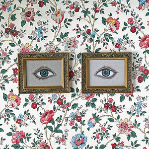 Don Carney Pair of Blue Eyes - Art Prints in Vintage Gold Dot Frames