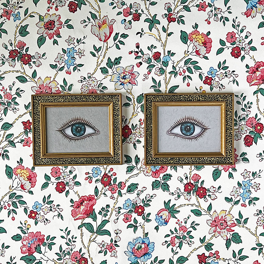 Don Carney Pair of Blue Eyes - Art Prints in Vintage Gold Dot Frames