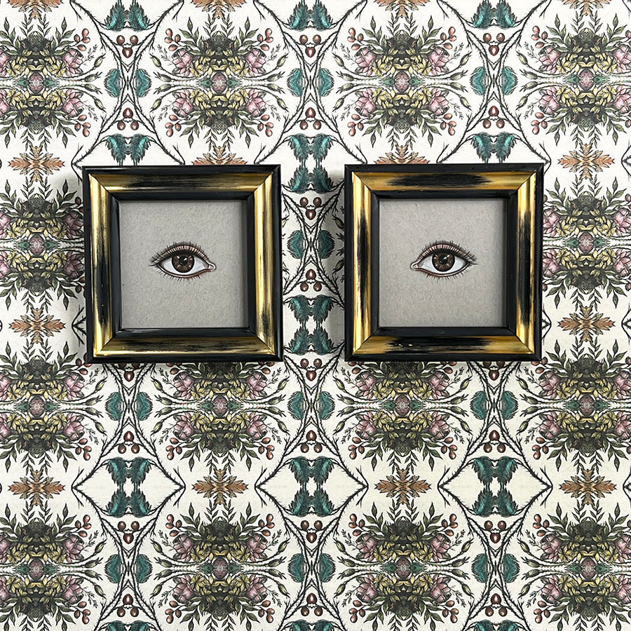 Don Carney Pair of Brown Eyes - Art Prints in Vintage Black & Gold Frames