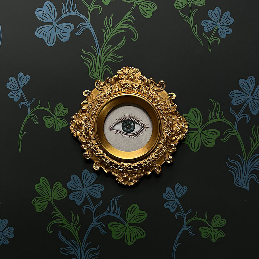 Don Carney Blue Eye - Art Print in Ornate Vintage Metal Frame