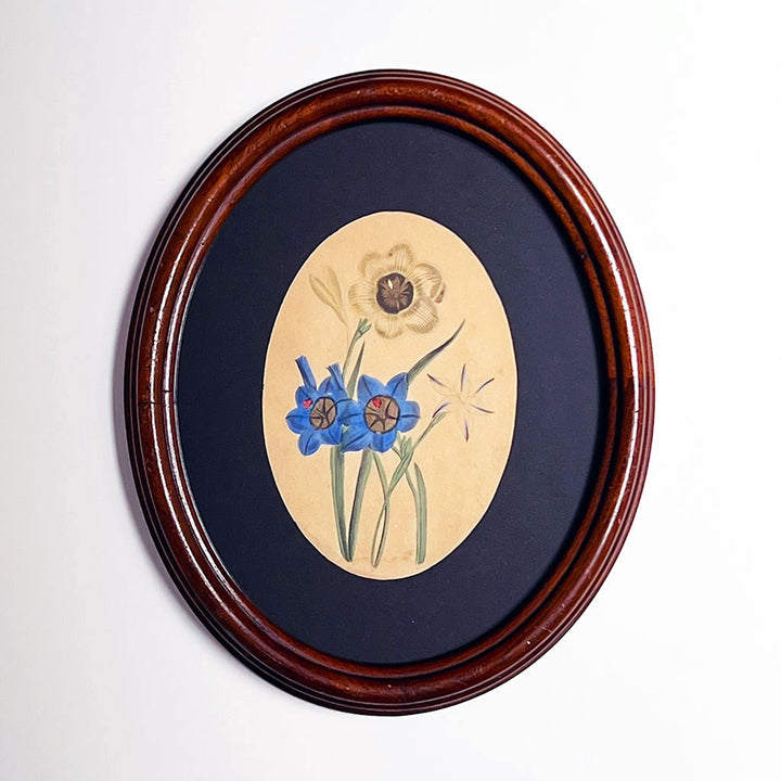 Original Hand-Colored Floral Study Engraving in Vintage Oval Frame