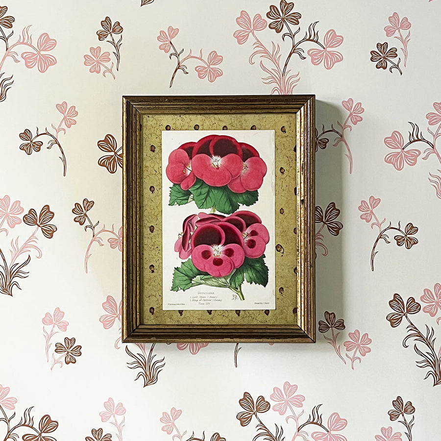 Geramums (geraniums) - Original Hand-Colored Lithograph in Vintage Frame
