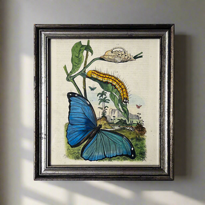 Landscape with Large Blue Butterfly Original Hand-Colored