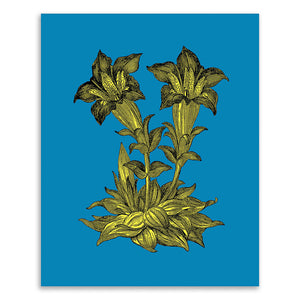 PATCH NYC Lily Blossoms Fine Art Print