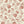 Trellis Wallpaper Sample