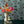 Fable (Sky) Wallpaper