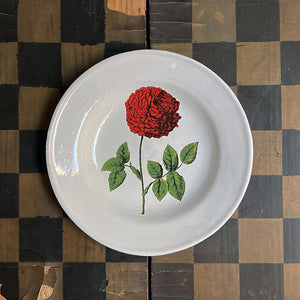 Astier de Villatte x John Derian Red Rose Soup Plate