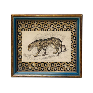 Felis Onca (The Jaguar)- Original Hand-Colored Engraving in Vintage Frame