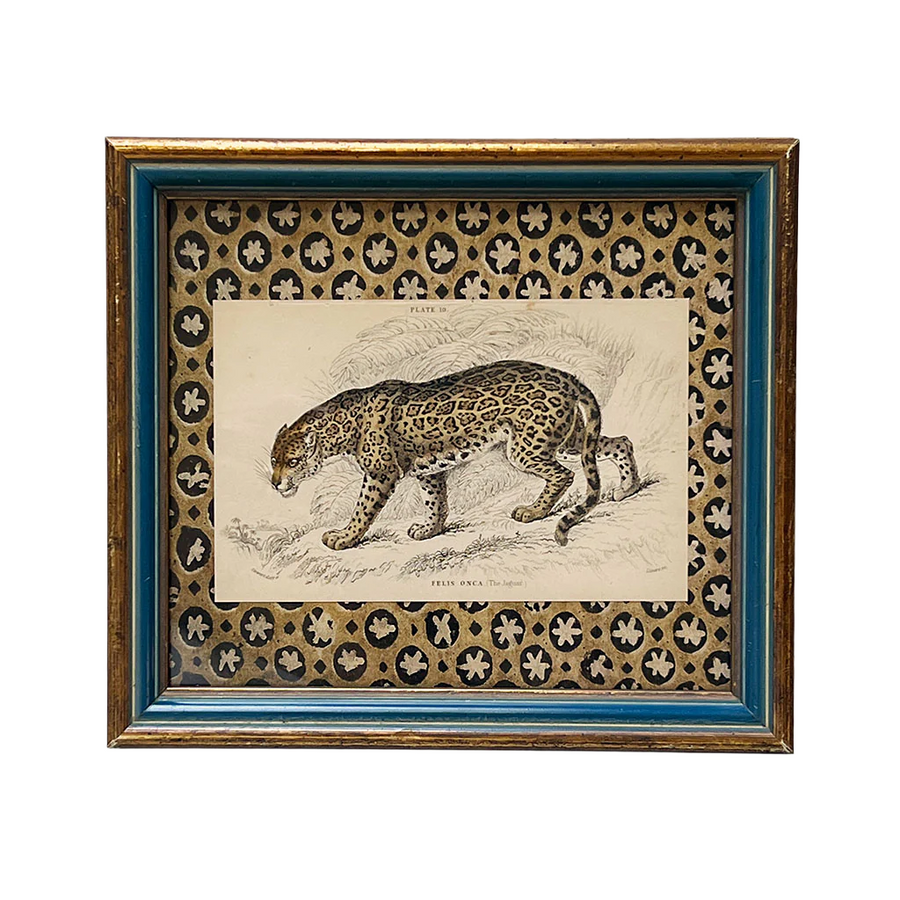 Felis Onca (The Jaguar)- Original Hand-Colored Engraving in Vintage Frame