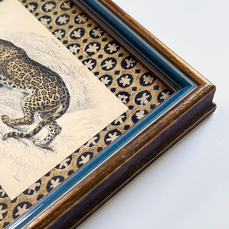 Felis Onca (The Jaguar)- Original Hand-Colored Engraving in Vintage Frame