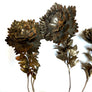 Vintage Brass Flower Stems & Leaf Branches (Set of Six)