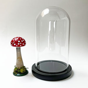 Hand Painted Mushroom Specimen in a Glass Dome (C)