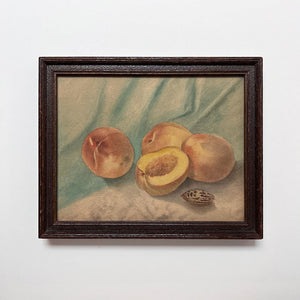 Original Watercolor Still Life Painting of Peaches Vintage Art