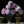 John Ross Still Life with Peonies in Clay Pots Art Print