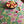 PATCH NYC Plaza Floral Linen Tea Towel