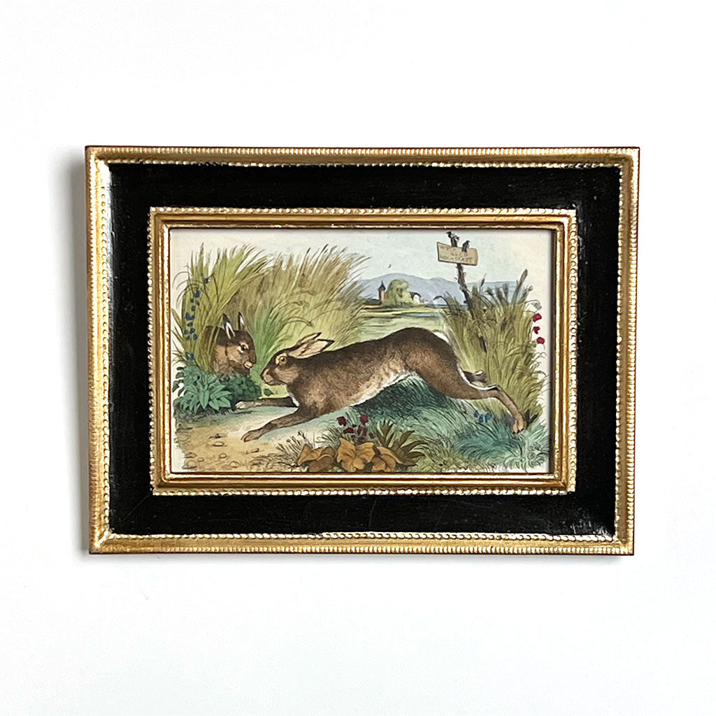 Rabbits Original Hand-Colored French Engraving Vintage Art – PATCH NYC