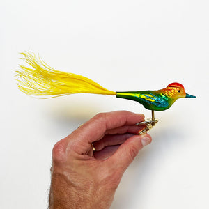 Multi Color Bird with Yellow Feather Tail Glass Clip Ornament