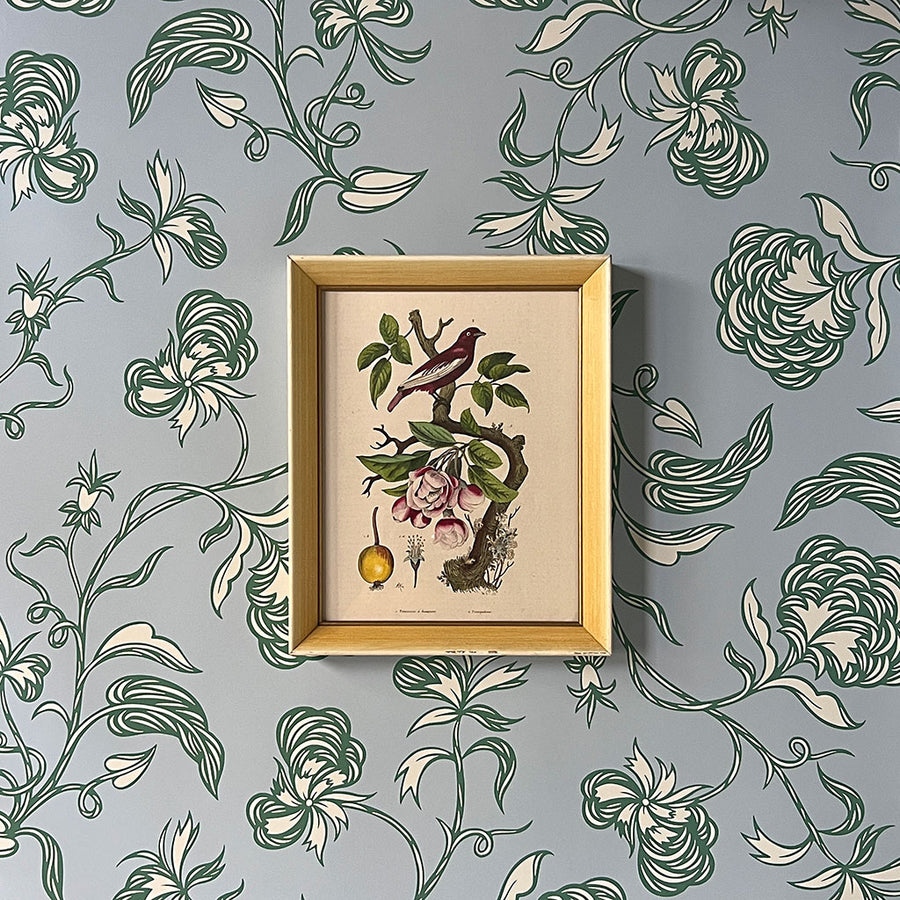 Pommier & Pompadour (apple & Pompadour Contiga)- Original Hand-Colored Engraving in Vintage Frame