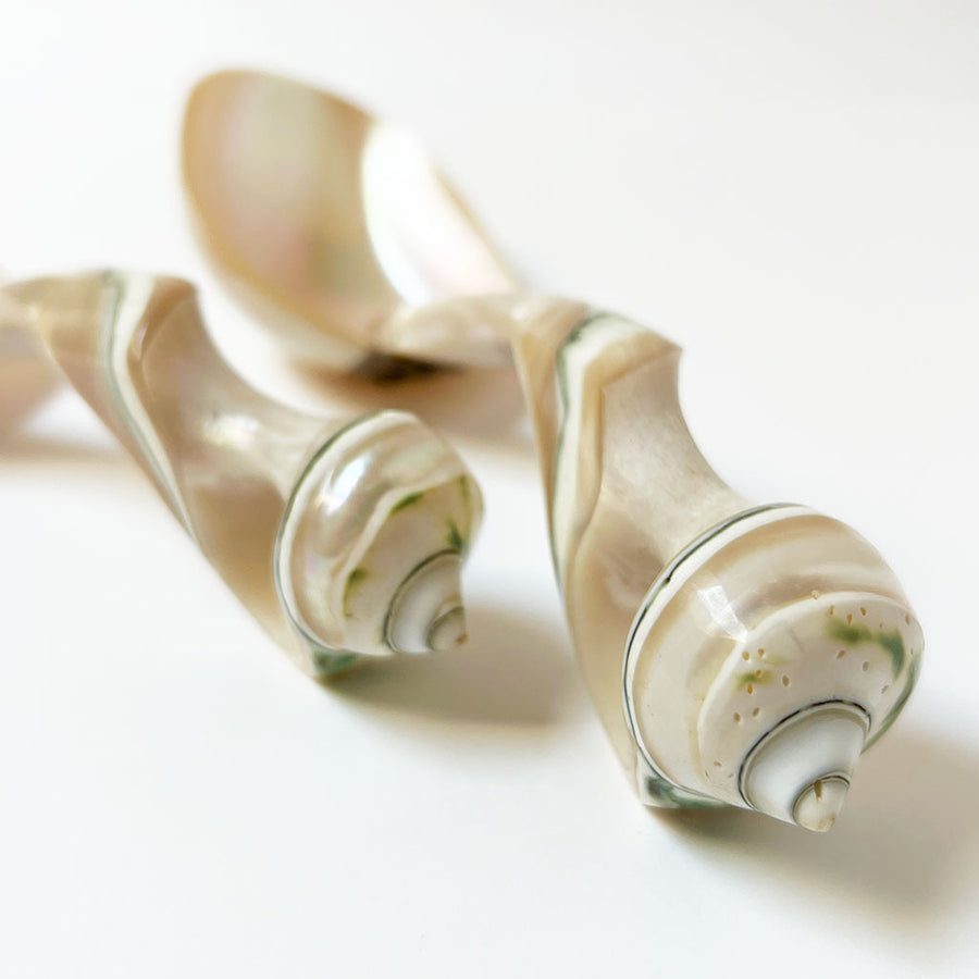 Vintage Carved Seashell Caviar Serving Spoons (Set of 2)
