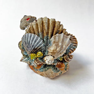 PATCH NYC One of a Kind Sea Shell Souvenir: Donkey