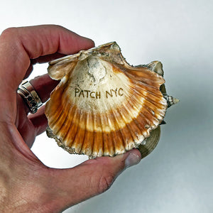 PATCH NYC One of a Kind Sea Shell Souvenir: Lion