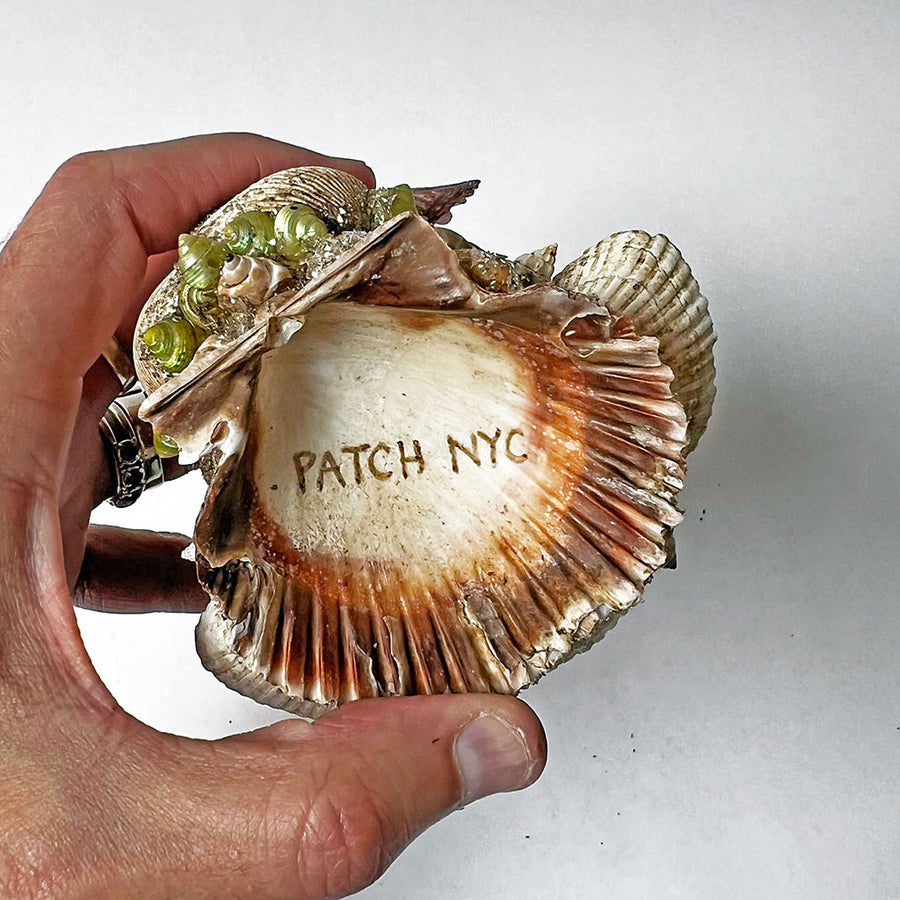 PATCH NYC One of a Kind Sea Shell Souvenir: Rabbit