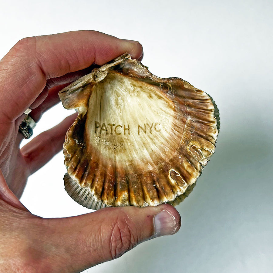 PATCH NYC One of a Kind Sea Shell Souvenir: Man in a Rust Topcoat